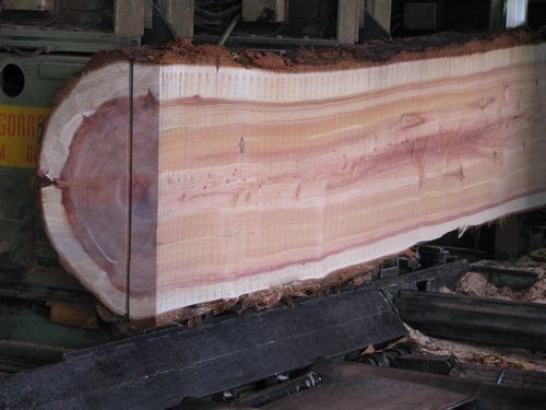 Redwood s 054 500